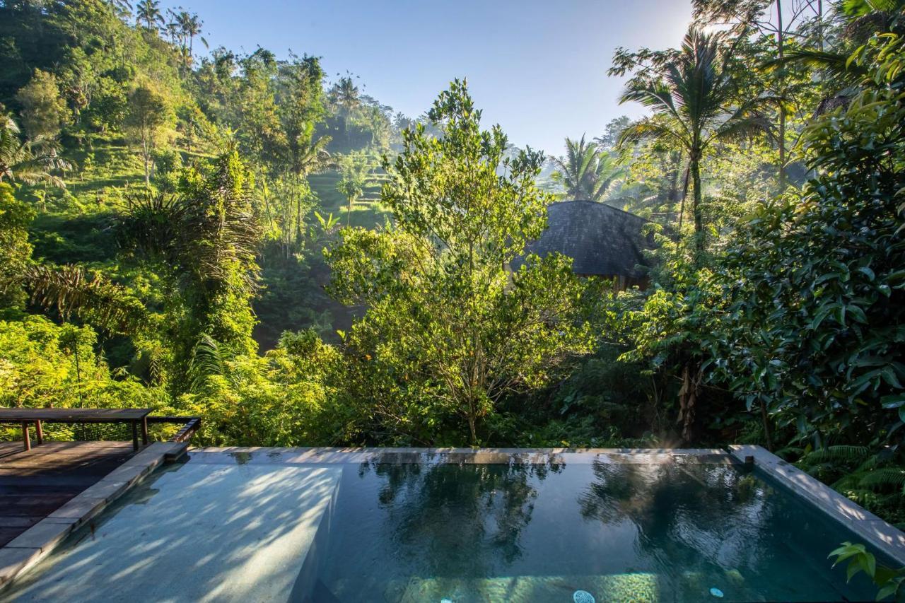 Buahan, A Banyan Tree Escape Payangan Exterior foto